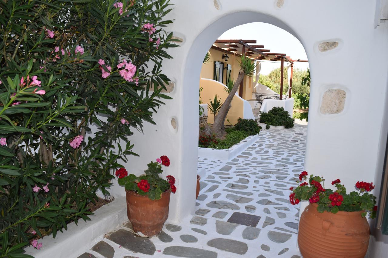Tzane Studios & Apartments - Steps Away From Golden Beach Chrisi Akti  Exterior foto