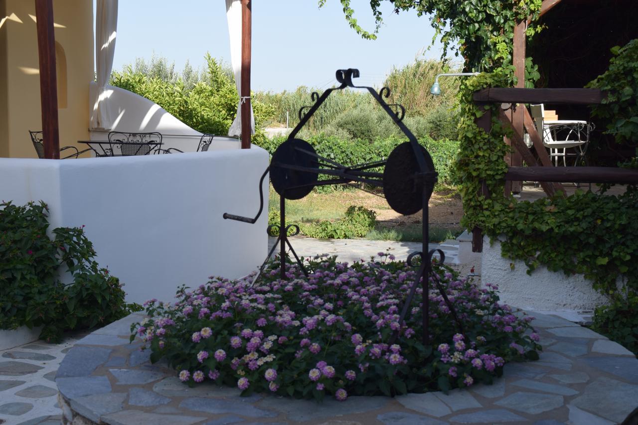 Tzane Studios & Apartments - Steps Away From Golden Beach Chrisi Akti  Exterior foto
